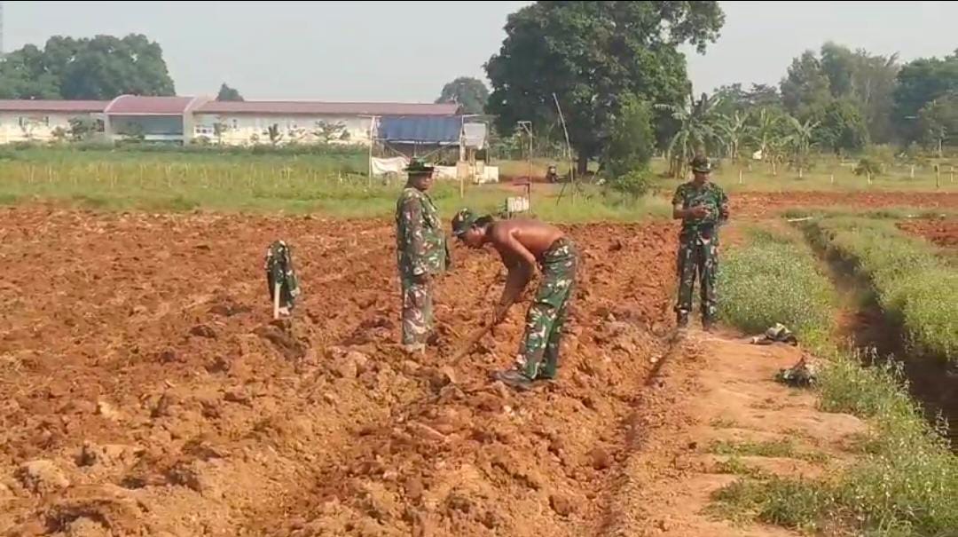 Koramil 12 Serangbaru Kodim 0509 Kabupaten Bekasi, Olah Lahan Untuk Tanam Sereh dan Singkong