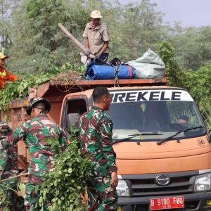 FB IMG 1729135765243