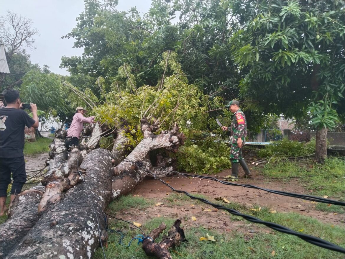 Akibat Hujan dan Angin Kencang, Babinsa Koramil 11 Pebayuran Bersama Warga Bersihkan Pohon Tumbang dan Perbaiki Aliran Listrik